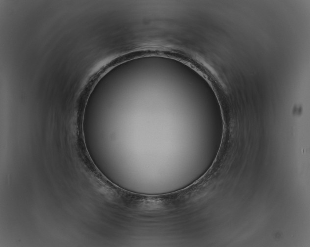 X0000089951315200707131507