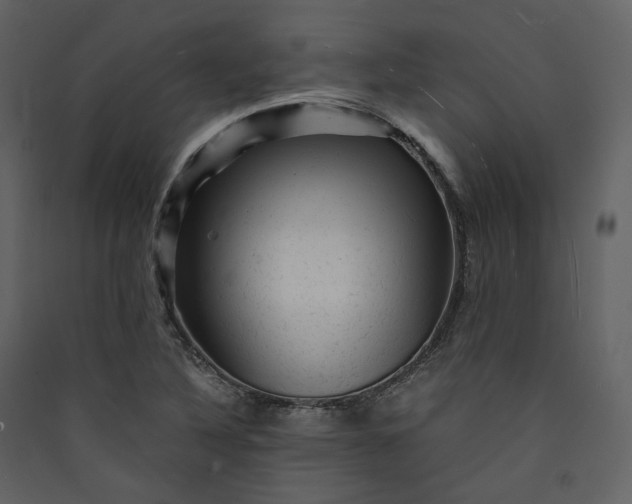 X0000089951316200707131507