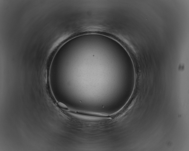 X0000089951317200707131507