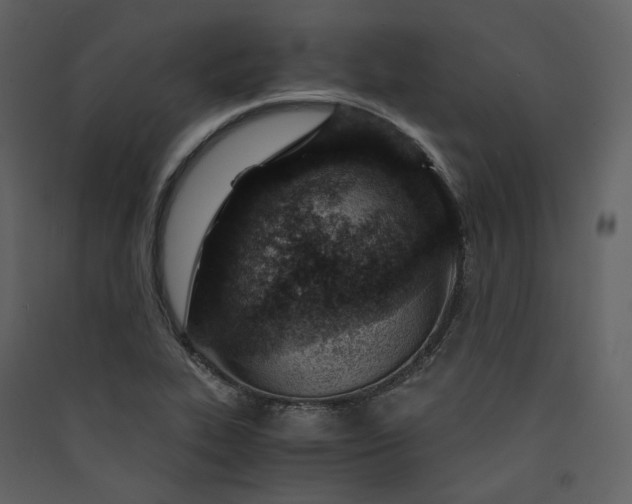 X0000089951319200707131507