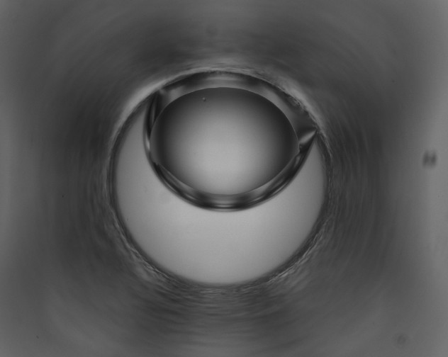 X0000089951320200707131507