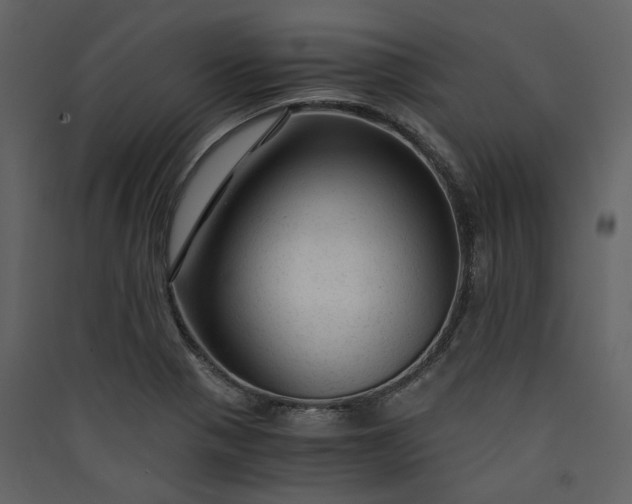 X0000089951321200707131507