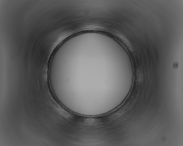 X0000089951322200707131507