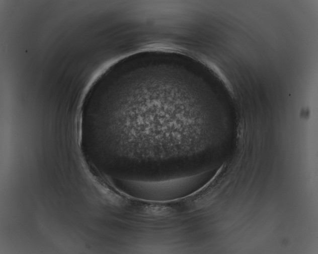 X0000089951323200707131507