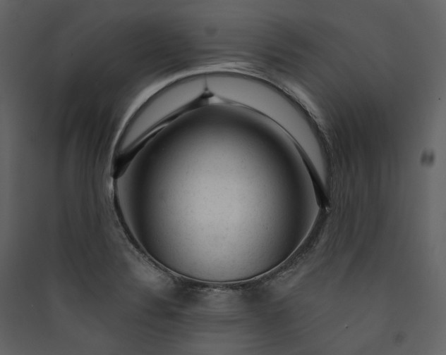 X0000089951324200707131507