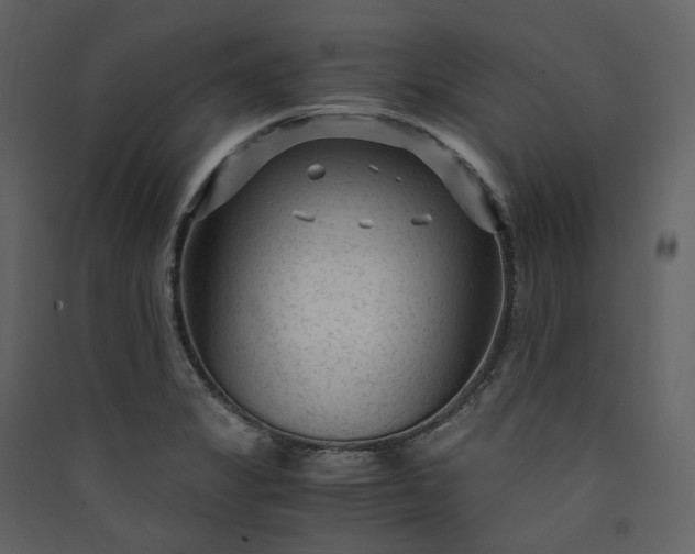 X0000089951325200707131507