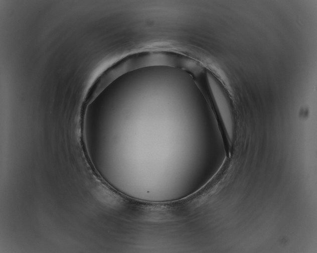 X0000089951328200707131507