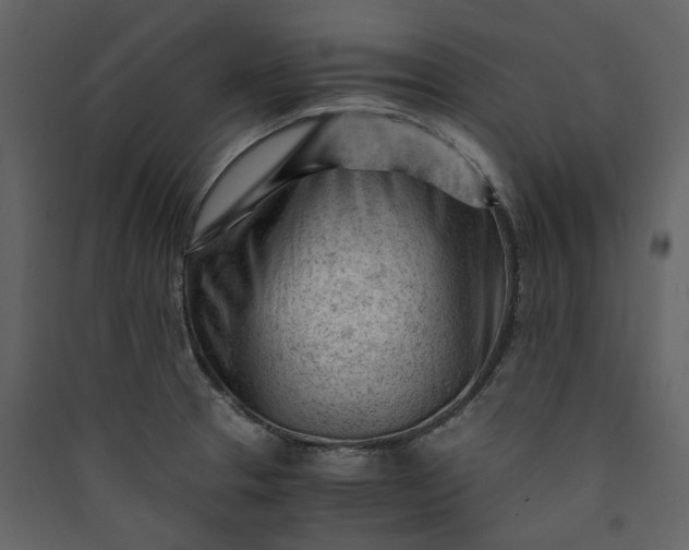 X0000089951329200707131507