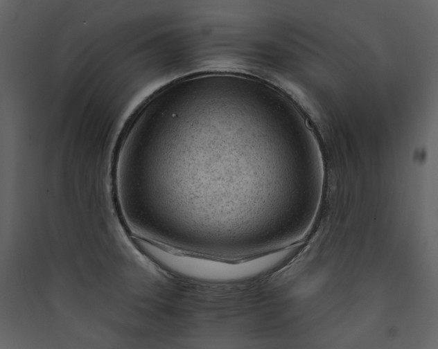 X0000089951331200707131507