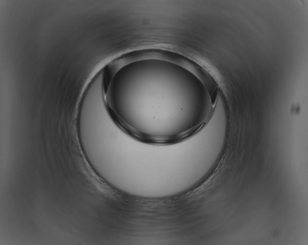 X0000089951332200707131507