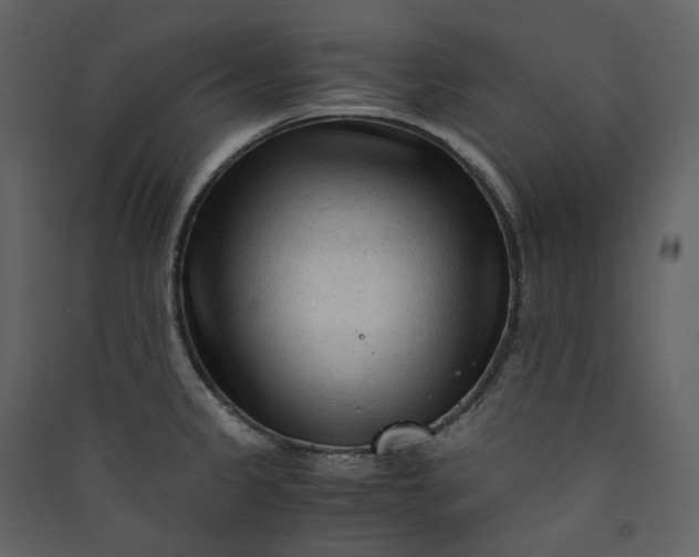 X0000089951333200707131507