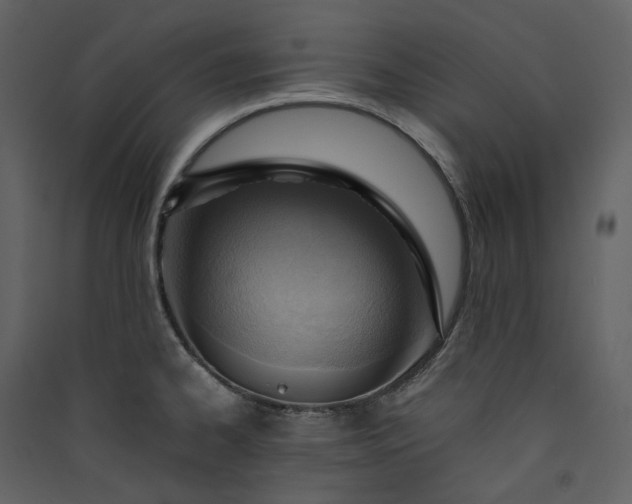 X0000089951334200707131507