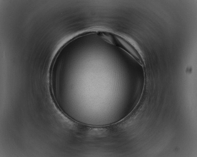 X0000089951335200707131507