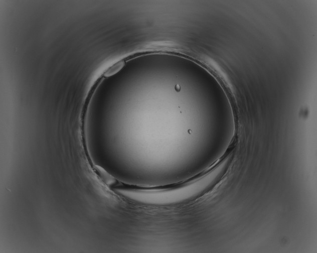 X0000089951336200707131507