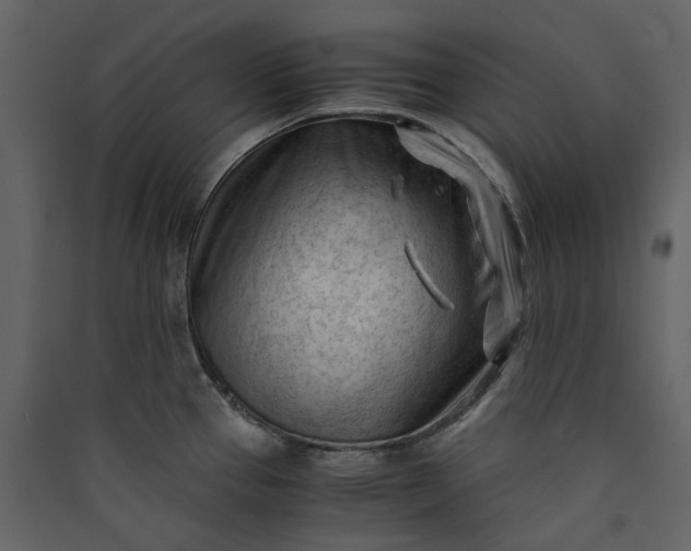 X0000089951337200707131507