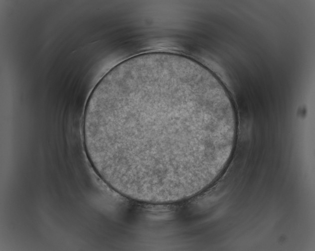 X0000089951338200707131507