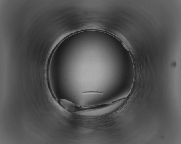 X0000089951339200707131508