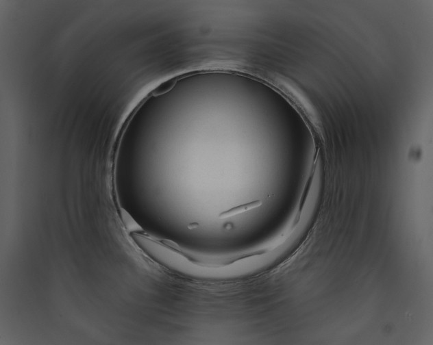 X0000089951340200707131508