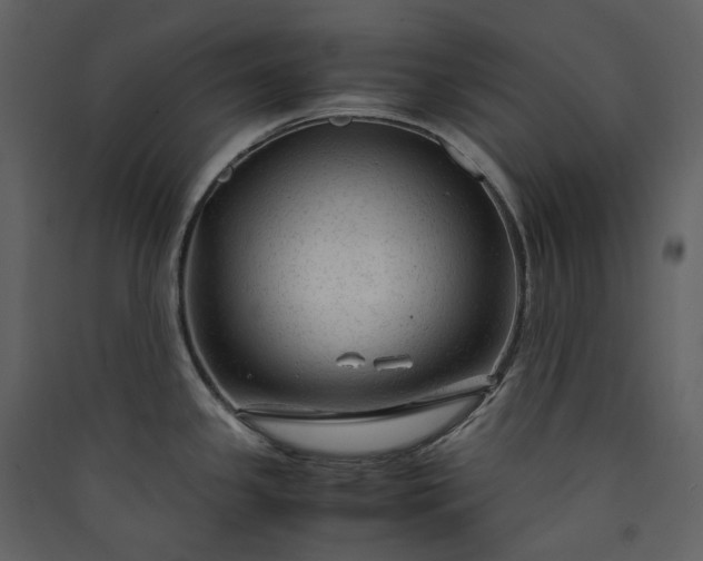 X0000089951341200707131508