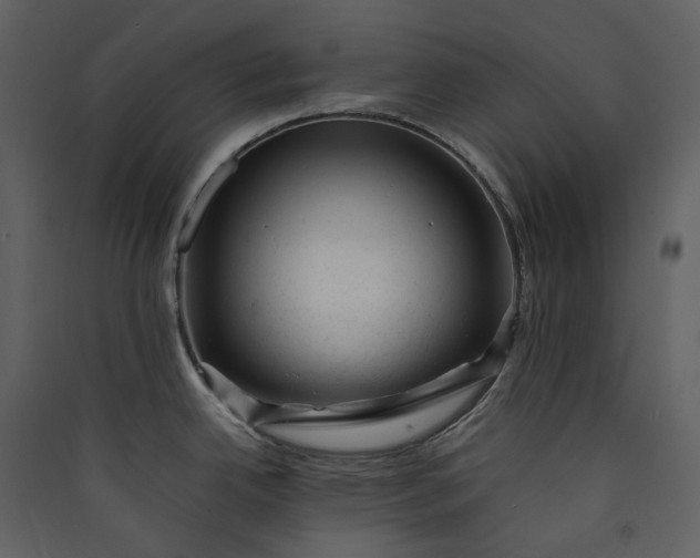 X0000089951342200707131508