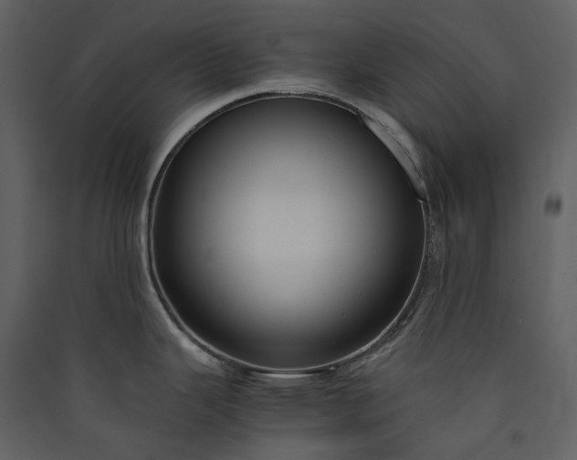 X0000089951343200707131508