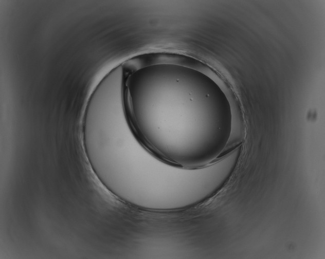X0000089951344200707131508