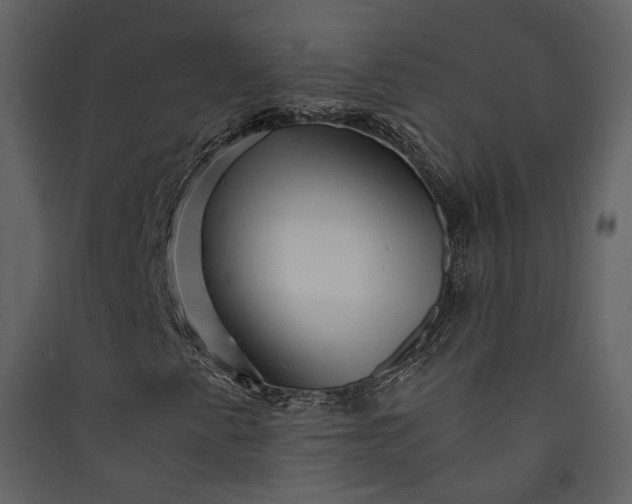 X0000089951345200707131507