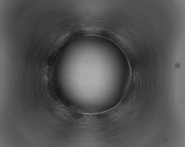 X0000089951346200707131507