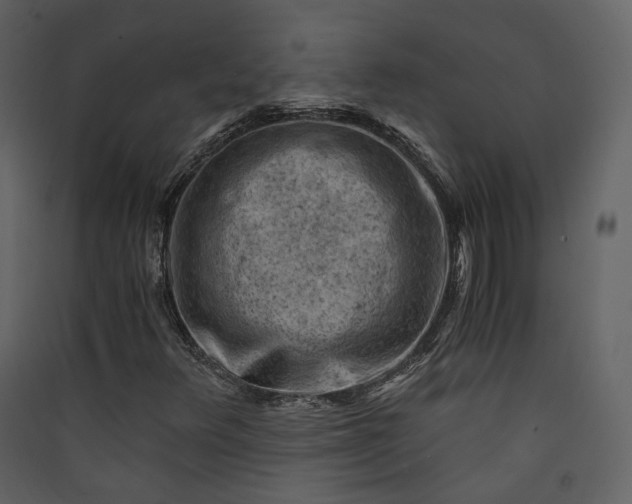X0000089951348200707131507
