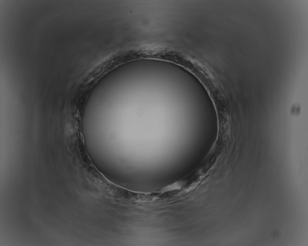 X0000089951349200707131507