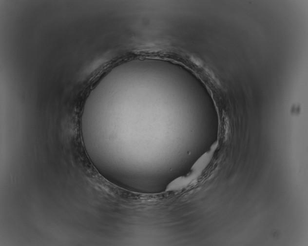 X0000089951350200707131507