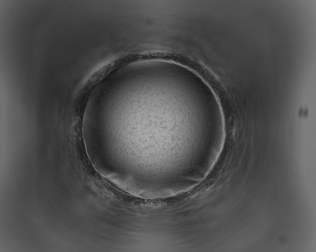 X0000089951351200707131507
