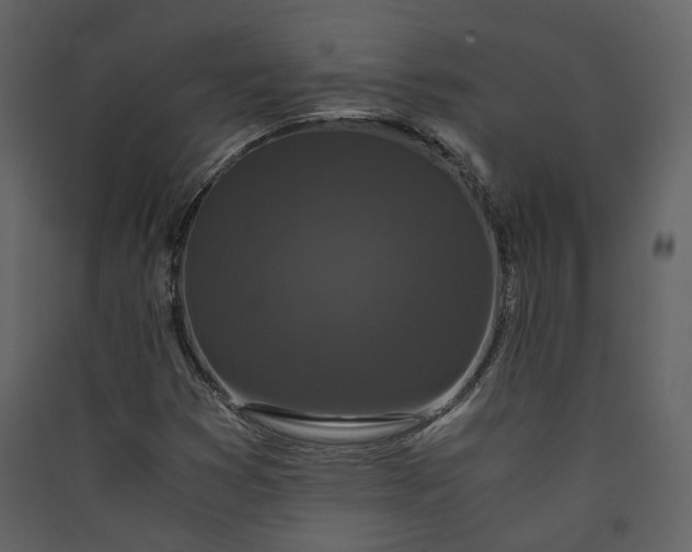 X0000089951353200707131507