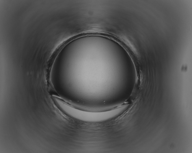 X0000089951356200707131507