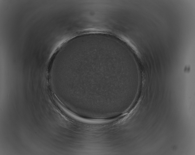 X0000089951357200707131507