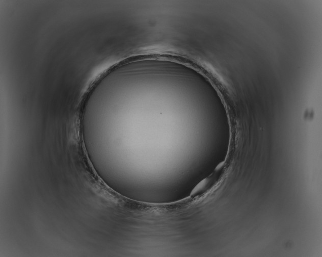 X0000089951358200707131507