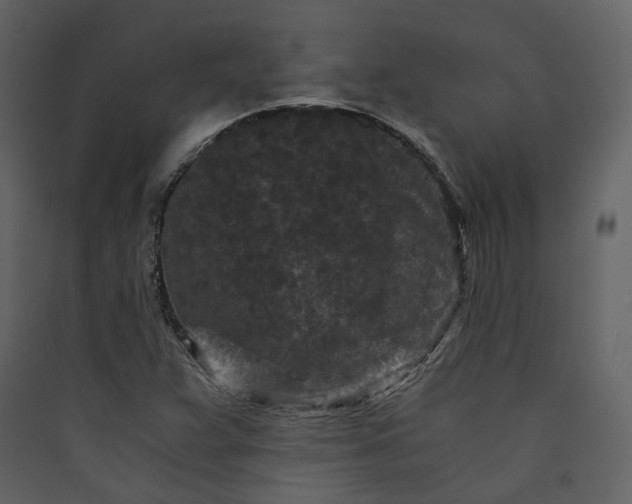 X0000089951359200707131507