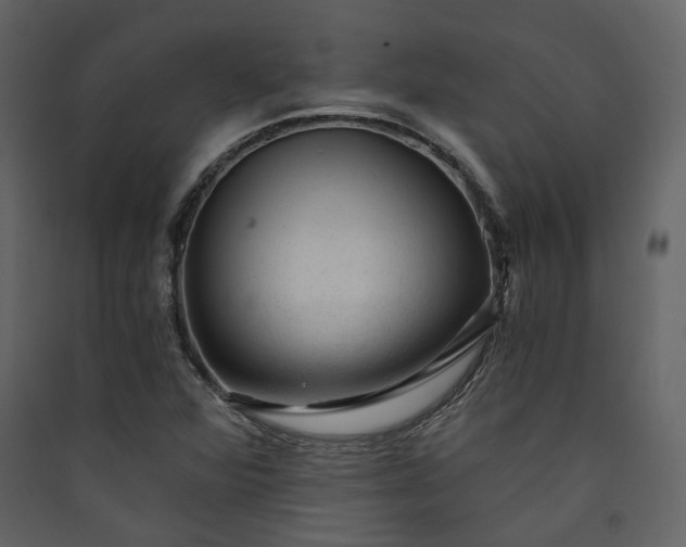 X0000089951360200707131507