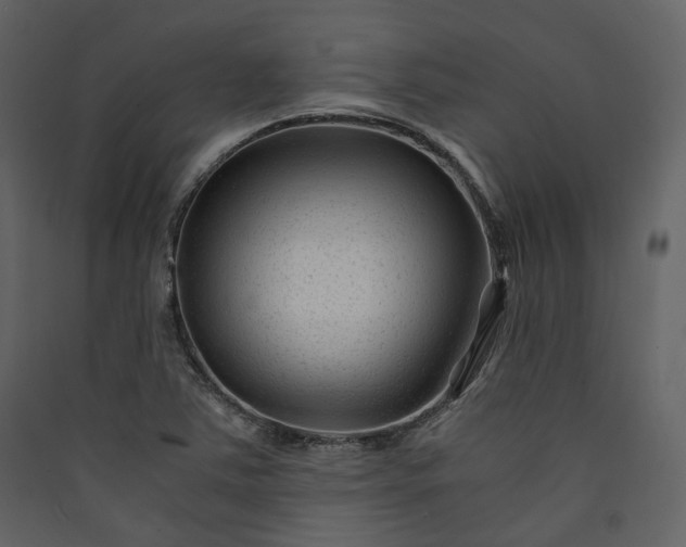 X0000089951363200707131507
