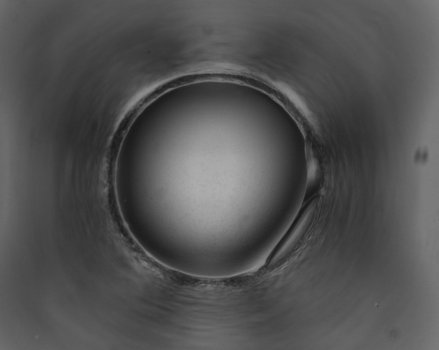 X0000089951364200707131507