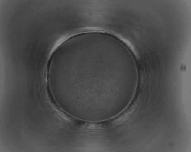 X0000089951365200707131507