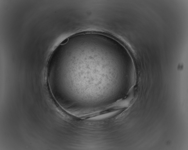 X0000089951367200707131507