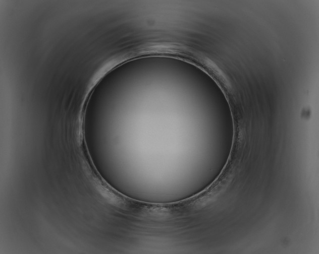 X0000089951370200707131507