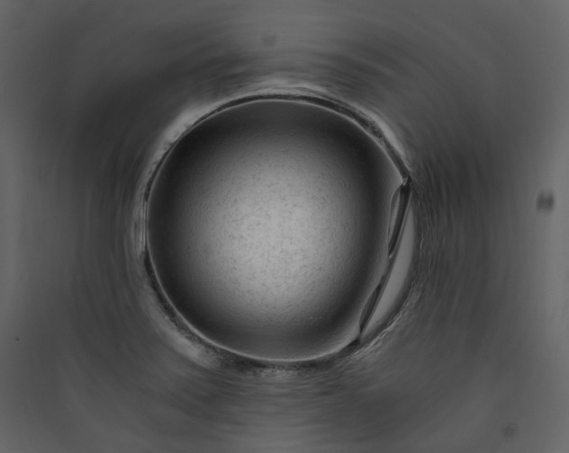 X0000089951371200707131507