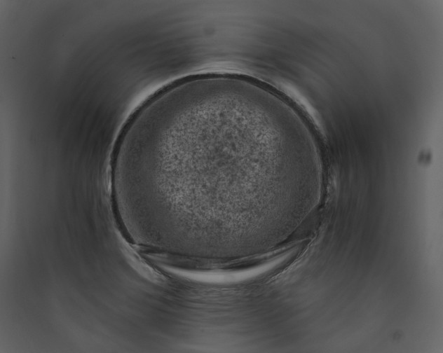 X0000089951372200707131507