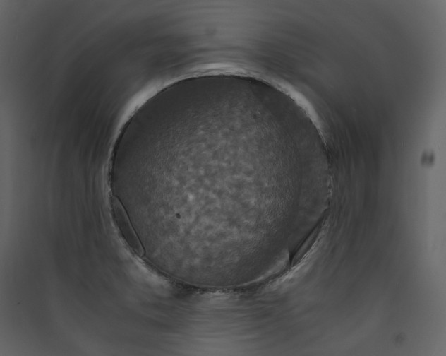 X0000089951373200707131507