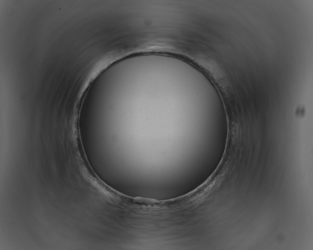 X0000089951374200707131507