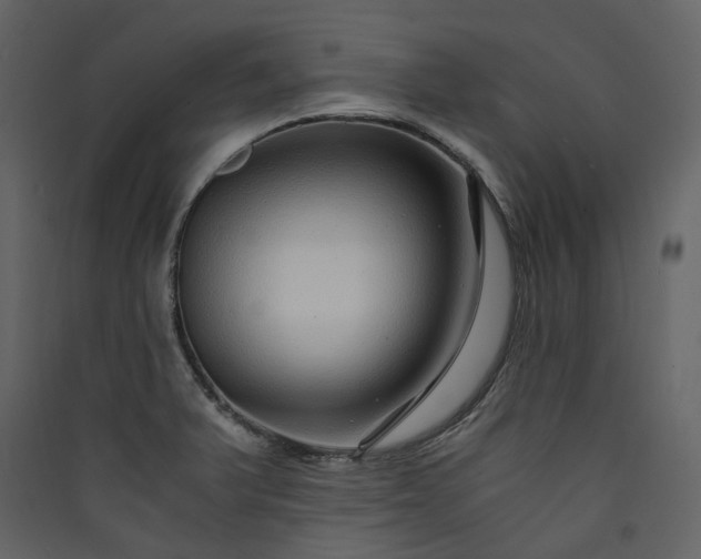 X0000089951375200707131507