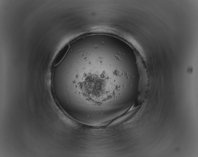 X0000089951376200707131507