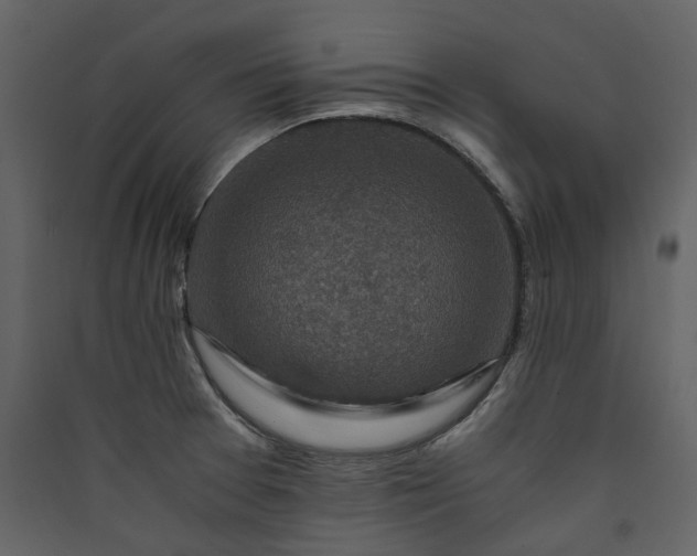 X0000089951377200707131507